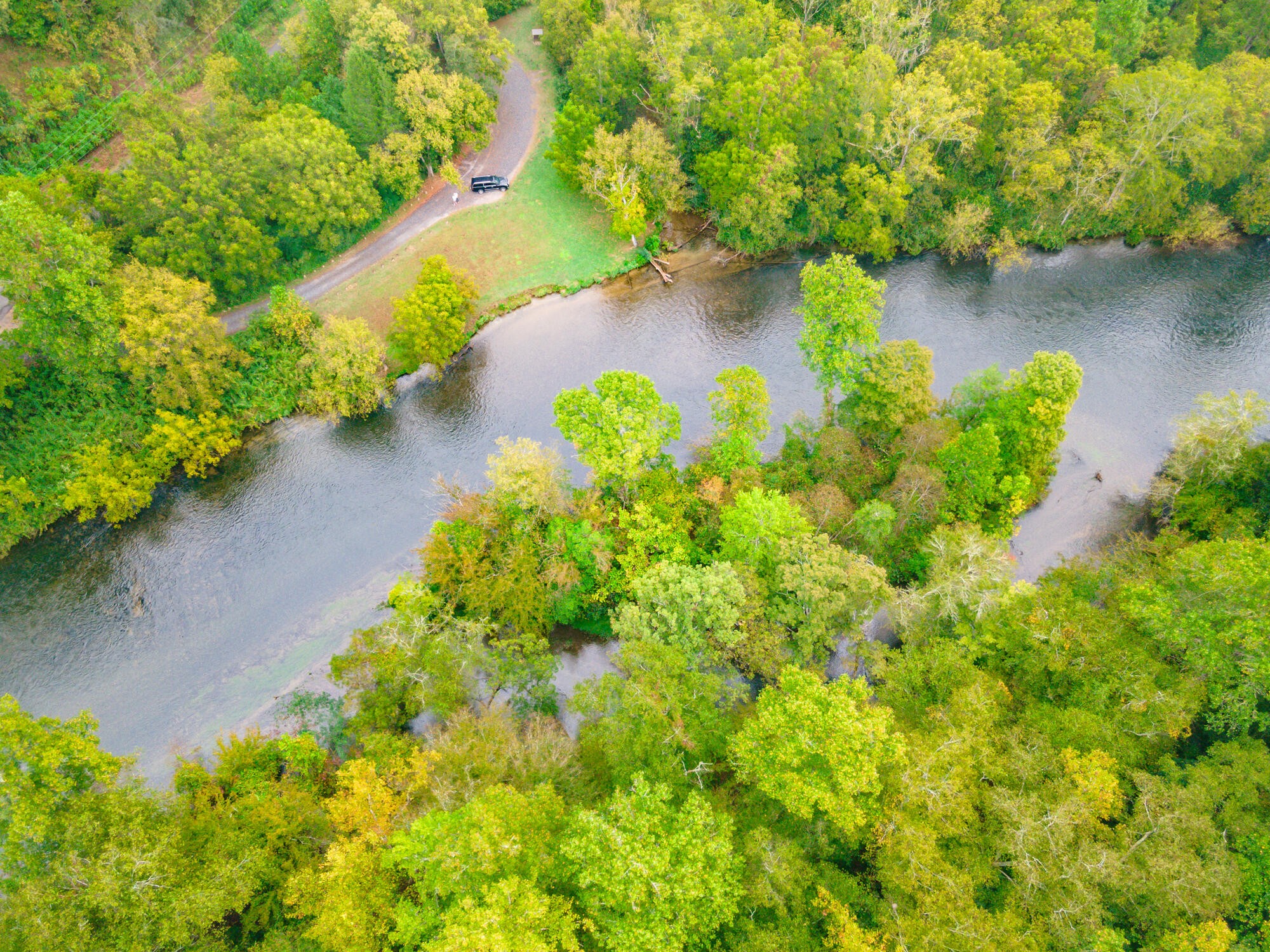 0 Ellis Creek Road Reliance, TN 37369 - Photo 18 of 52 Gallery Image 18