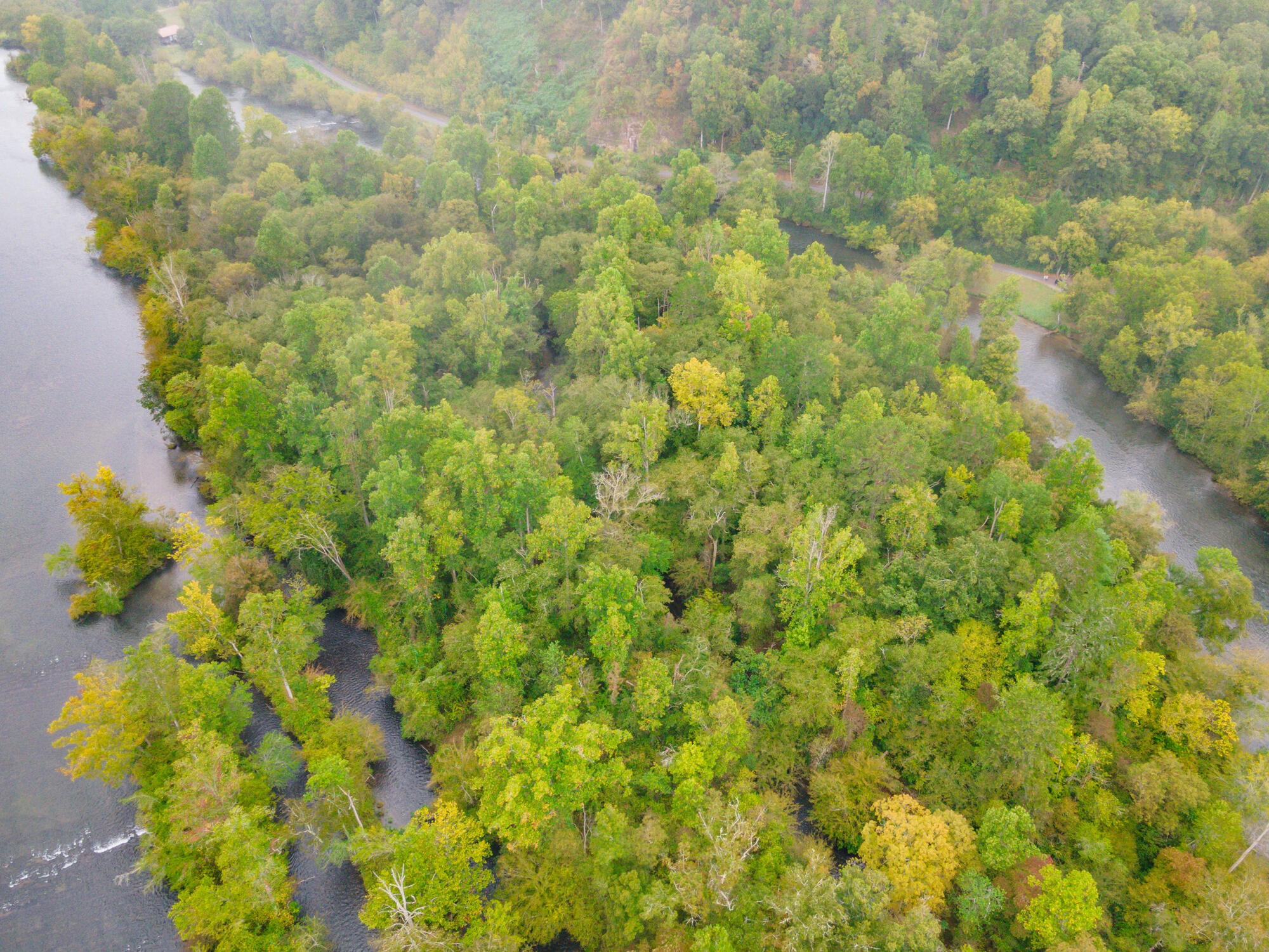 0 Ellis Creek Road Reliance, TN 37369 - Photo 34 of 52 Gallery Image 34