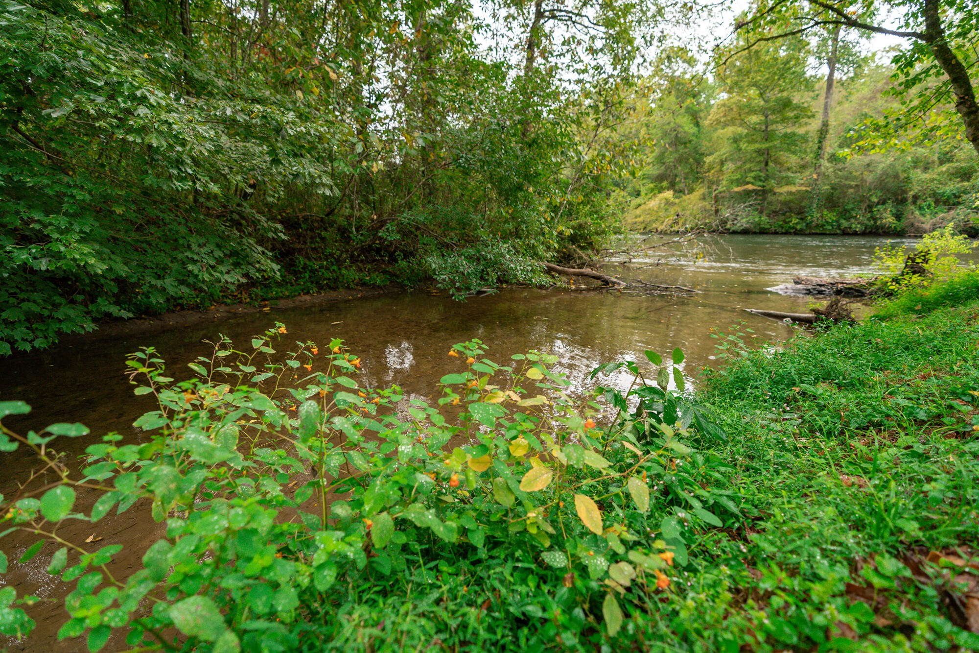 0 Ellis Creek Road Reliance, TN 37369 - Photo 10 of 52 Gallery Image 10