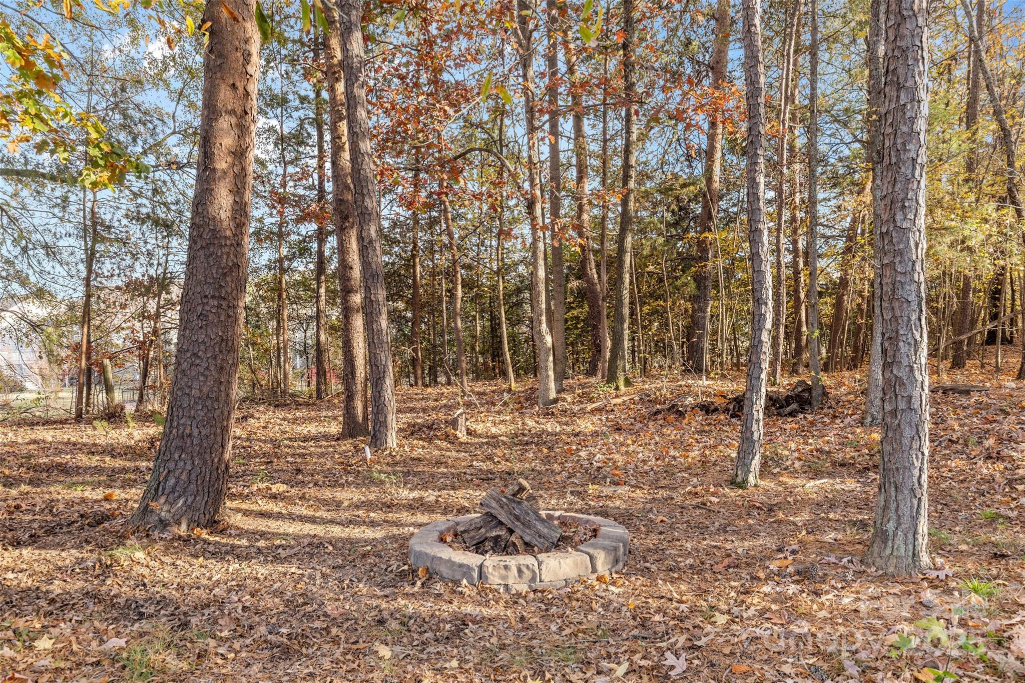 1108 Blowing Rock Cove Fort Mill, SC 29708 - Photo 36 of 43 a backyard of a house with lots of green space