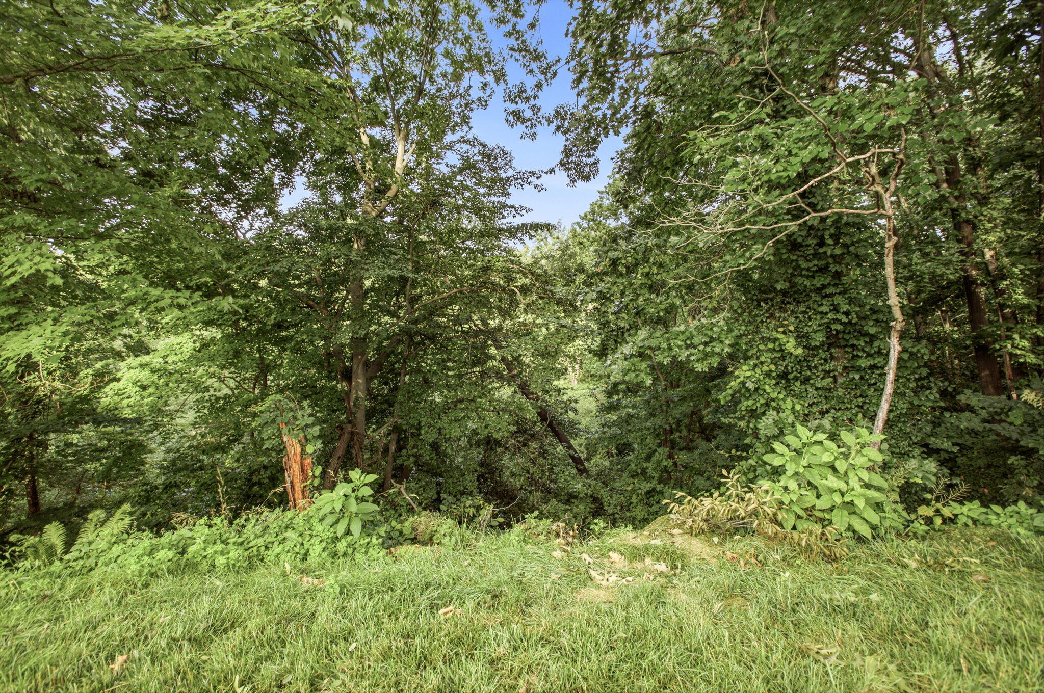 3790 Blenheim Road St. Joseph, MI 49085 - Photo 53 of 53 53-web-or-mls-3790Blenheim_SkyVibeMedia-