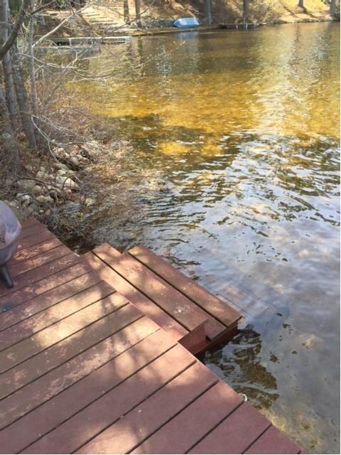 31 Shepard's Island Road West Newfield, ME 04095 - Photo 2 of 26 a2