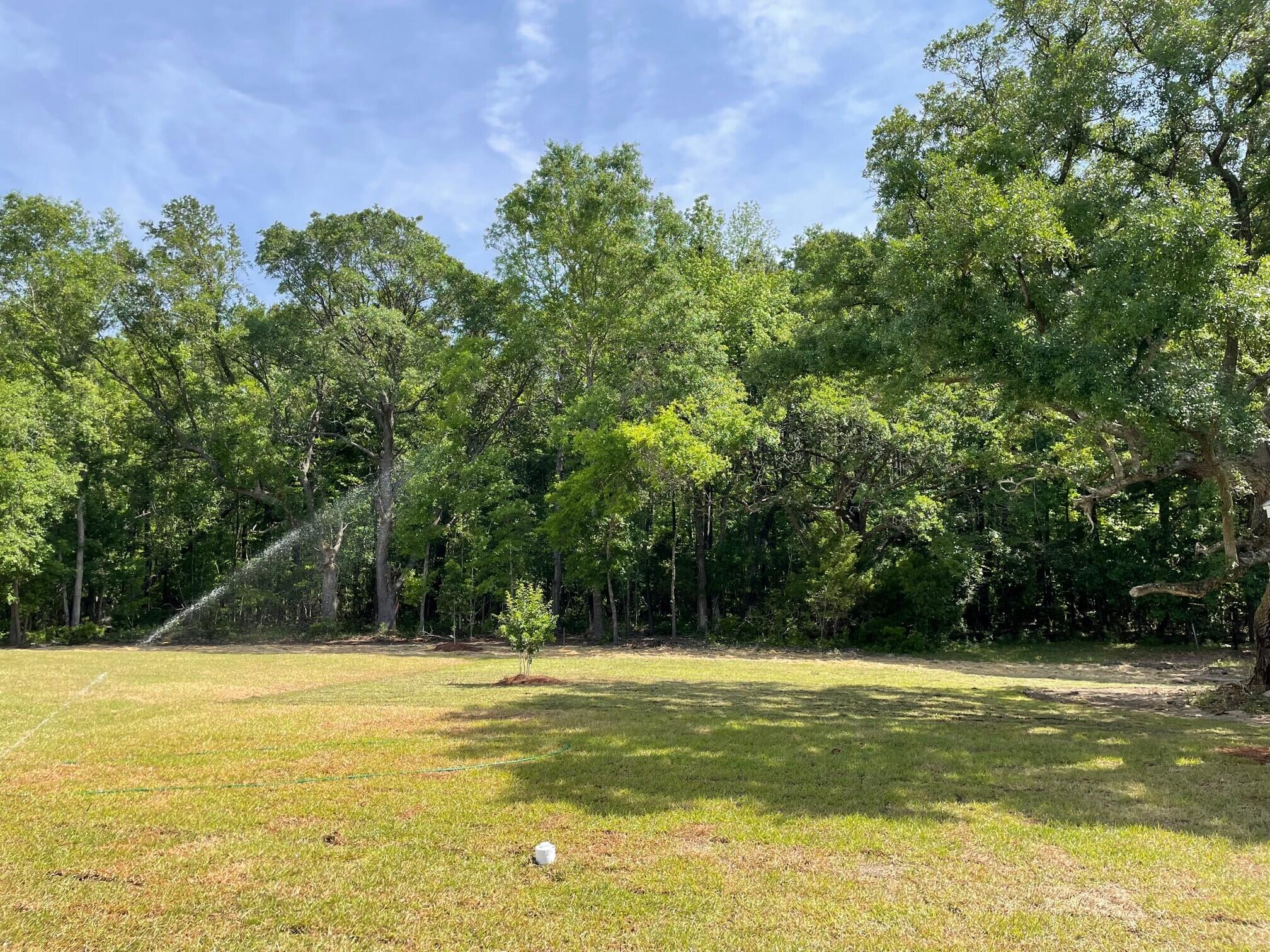 1050 Theodore Road Awendaw, SC 29429 - Photo 23 of 24 backyard