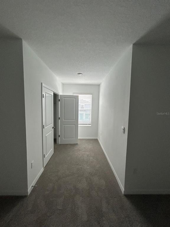 16620 Grotto Steam Place Wimauma, FL 33598 - Photo 14 of 19 a view of an empty room and closet area