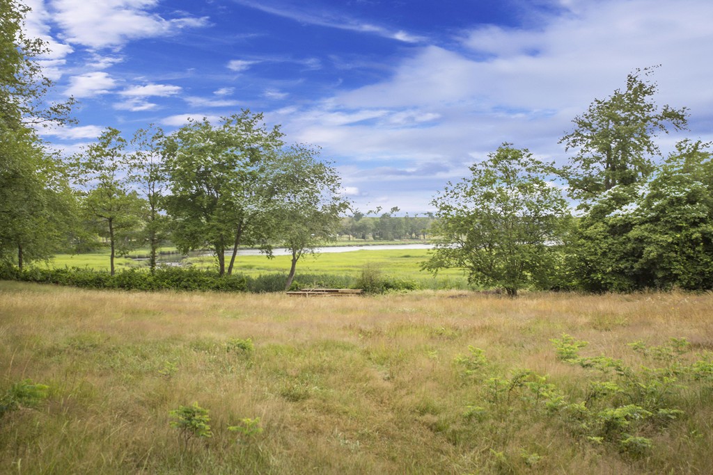 5 Causeway Road Freetown, MA 02702 - Photo 3 of 5 a view of a field with trees in the background
