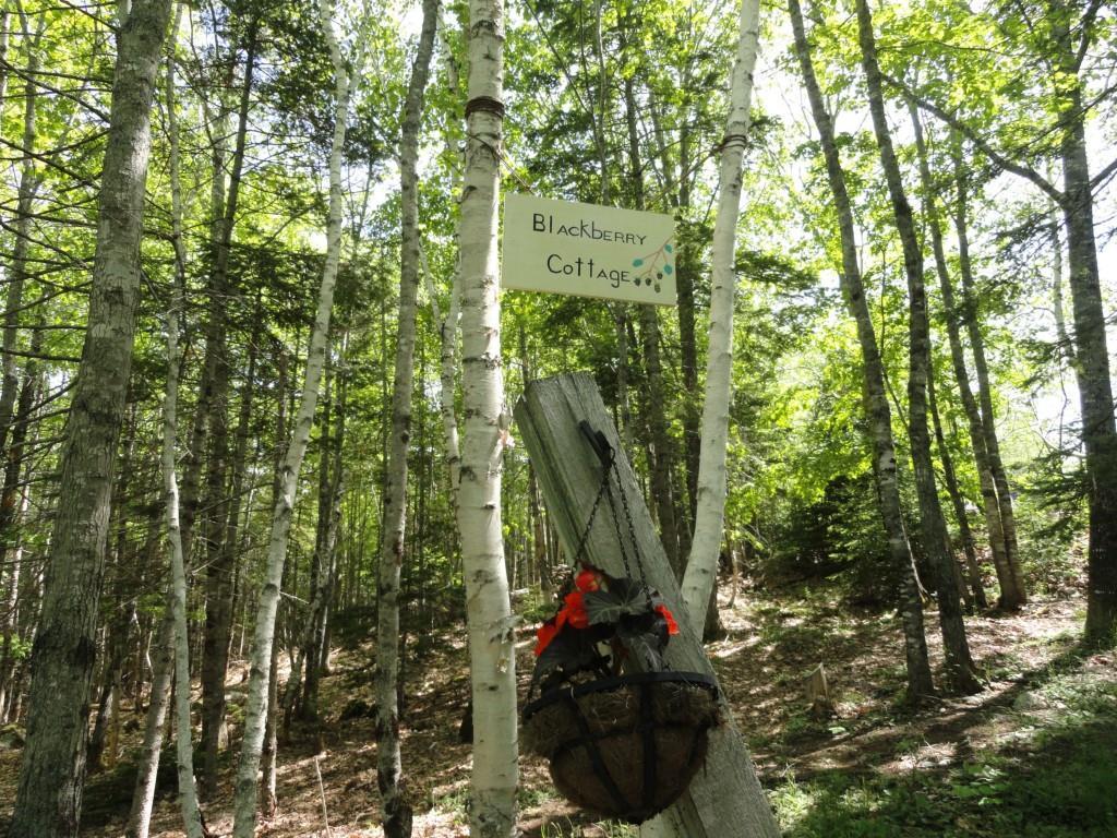 42 Betsys Road Bar Harbor, ME 04609 - Photo 2 of 28 Photo