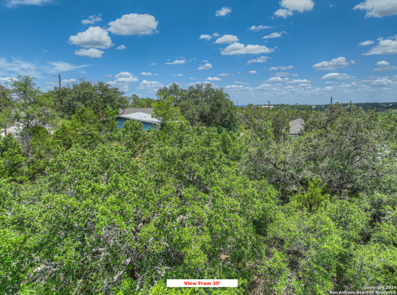 0 Contour Drive Spring Branch, TX 78070 - Photo 12 of 21