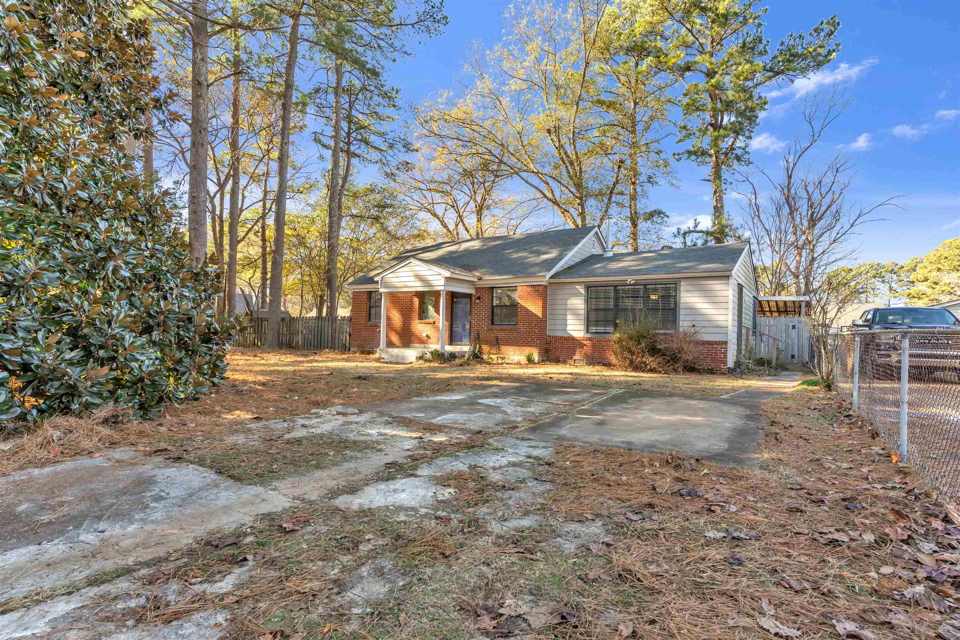 a view of a large trees with yard