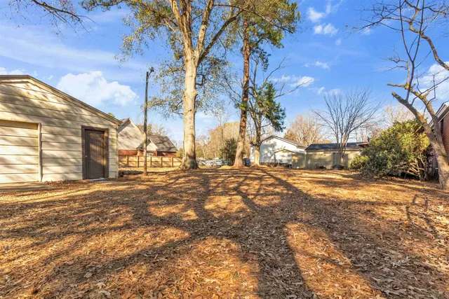 a view of a yard with plants and trees