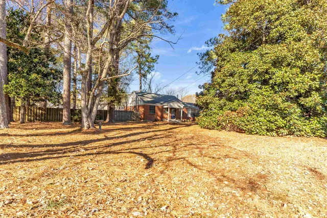 a view of a yard with a tree