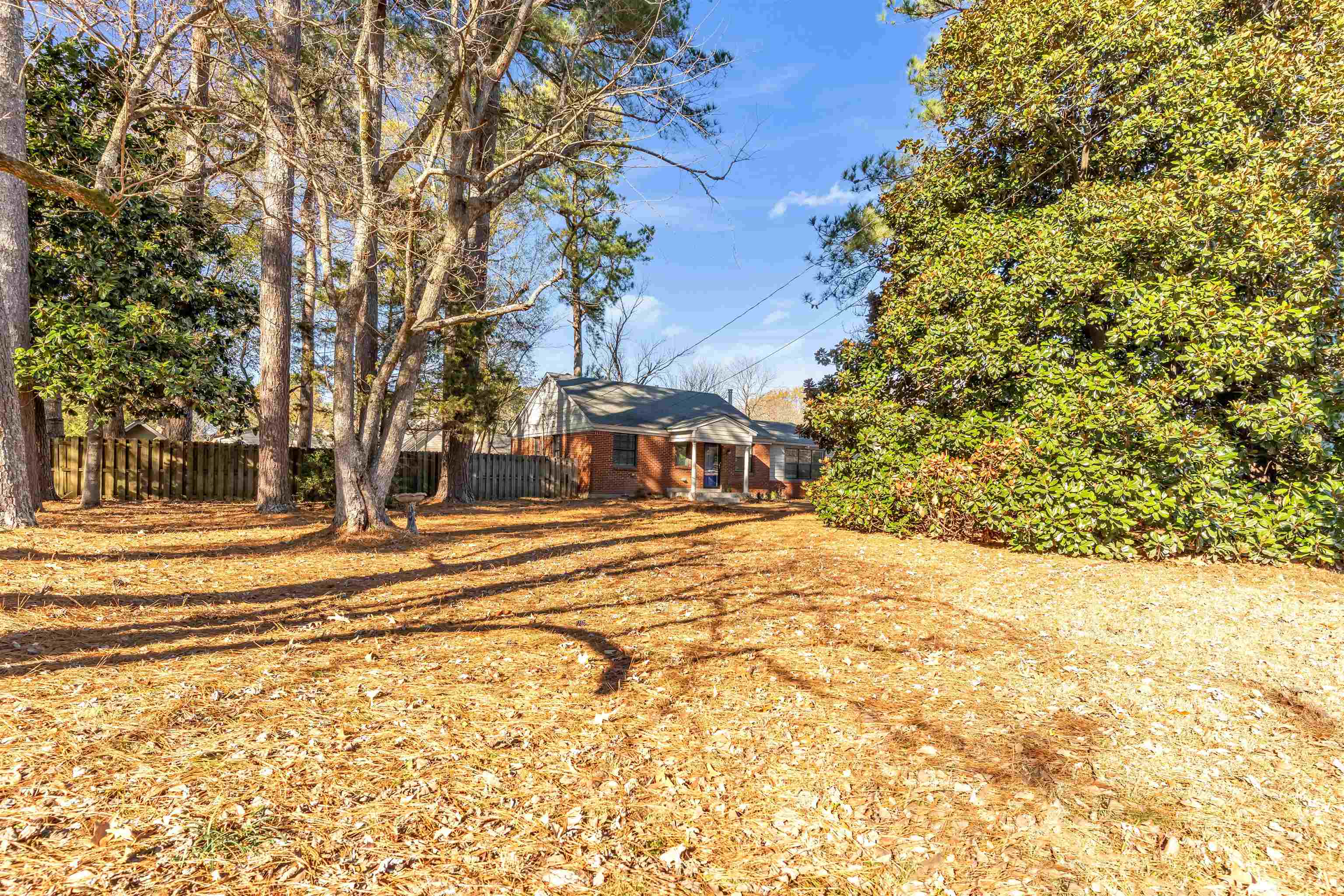 4163 Fonta Road Bartlett, TN 38002 - Photo 26 of 27 a view of a yard with plants and trees