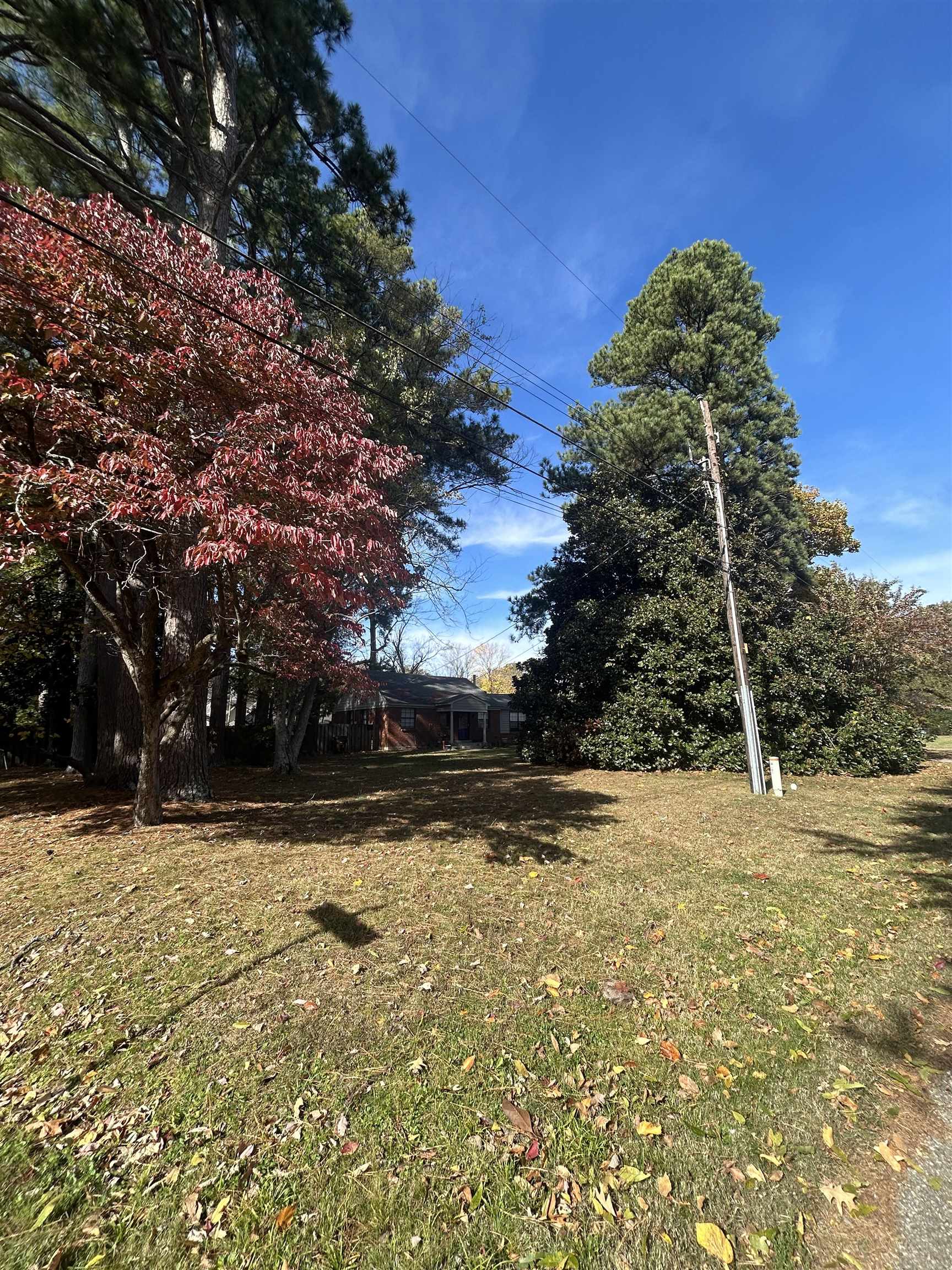 4163 Fonta Road Bartlett, TN 38002 - Photo 27 of 27 a view of a yard with a tree