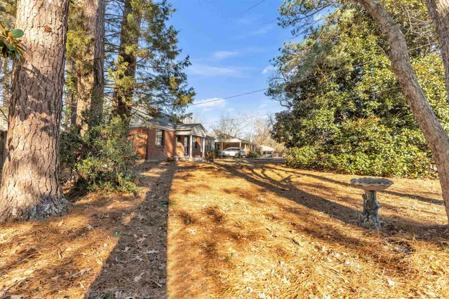 a view of yard with large trees