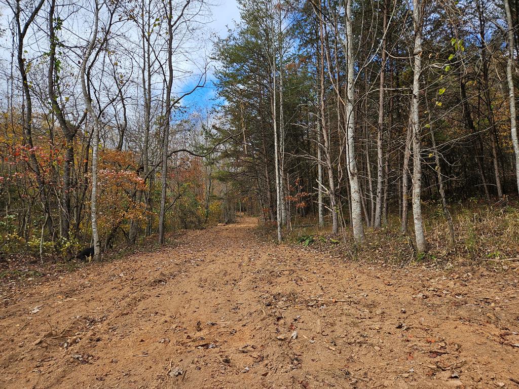 125 Ahart Ridge Road, Unit 381001 Cana, VA 24317 - Photo 17 of 59 Gallery Image 17