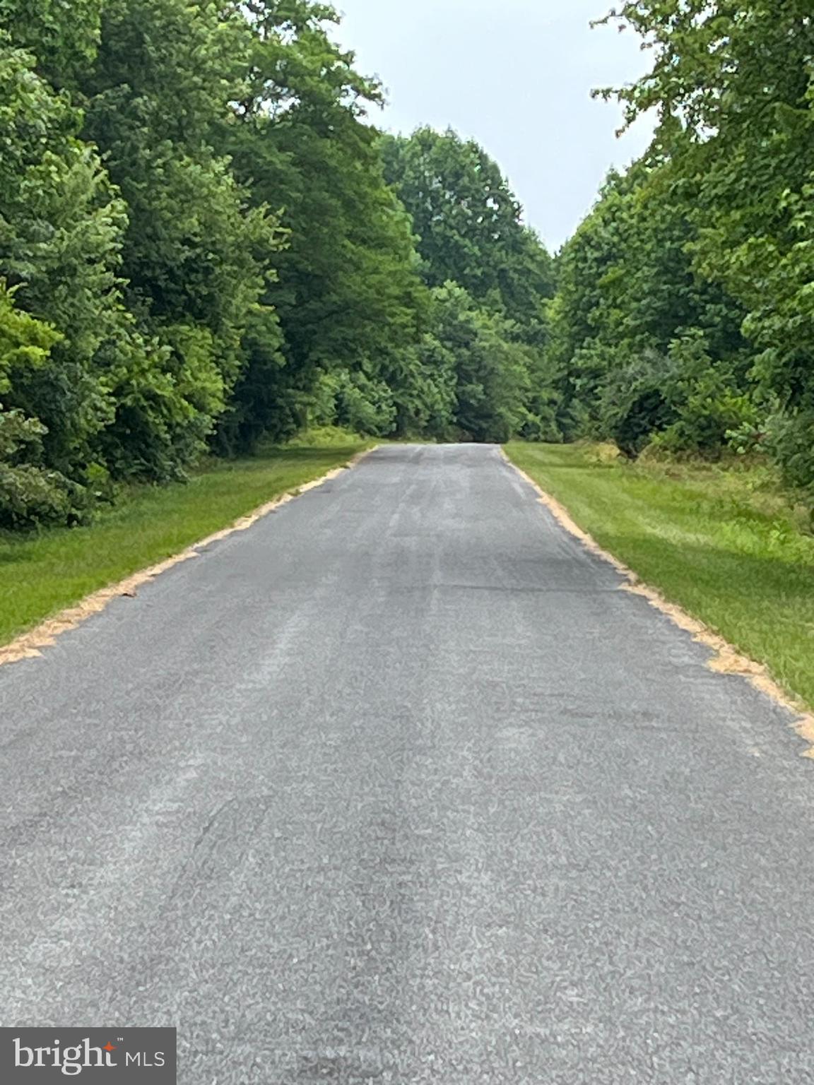Burnt Mill Road Ridgely, MD 21660 - Photo 3 of 7 Quiet cul-de-sac, lined with many mature trees