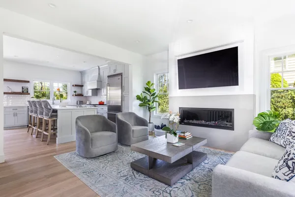 a living room with furniture and a fireplace