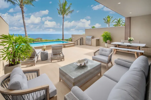 a living room with furniture a rug and a potted plant