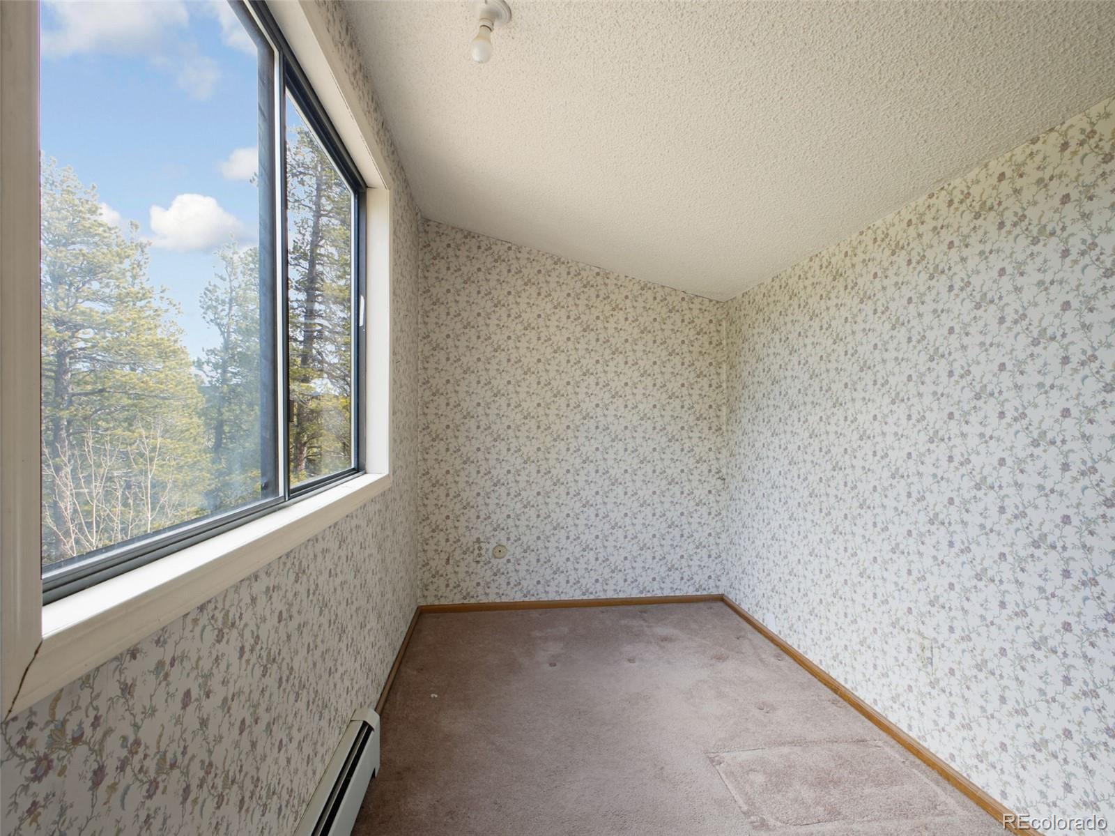 89 Prospectors Way Bailey, CO 80421 - Photo 22 of 33