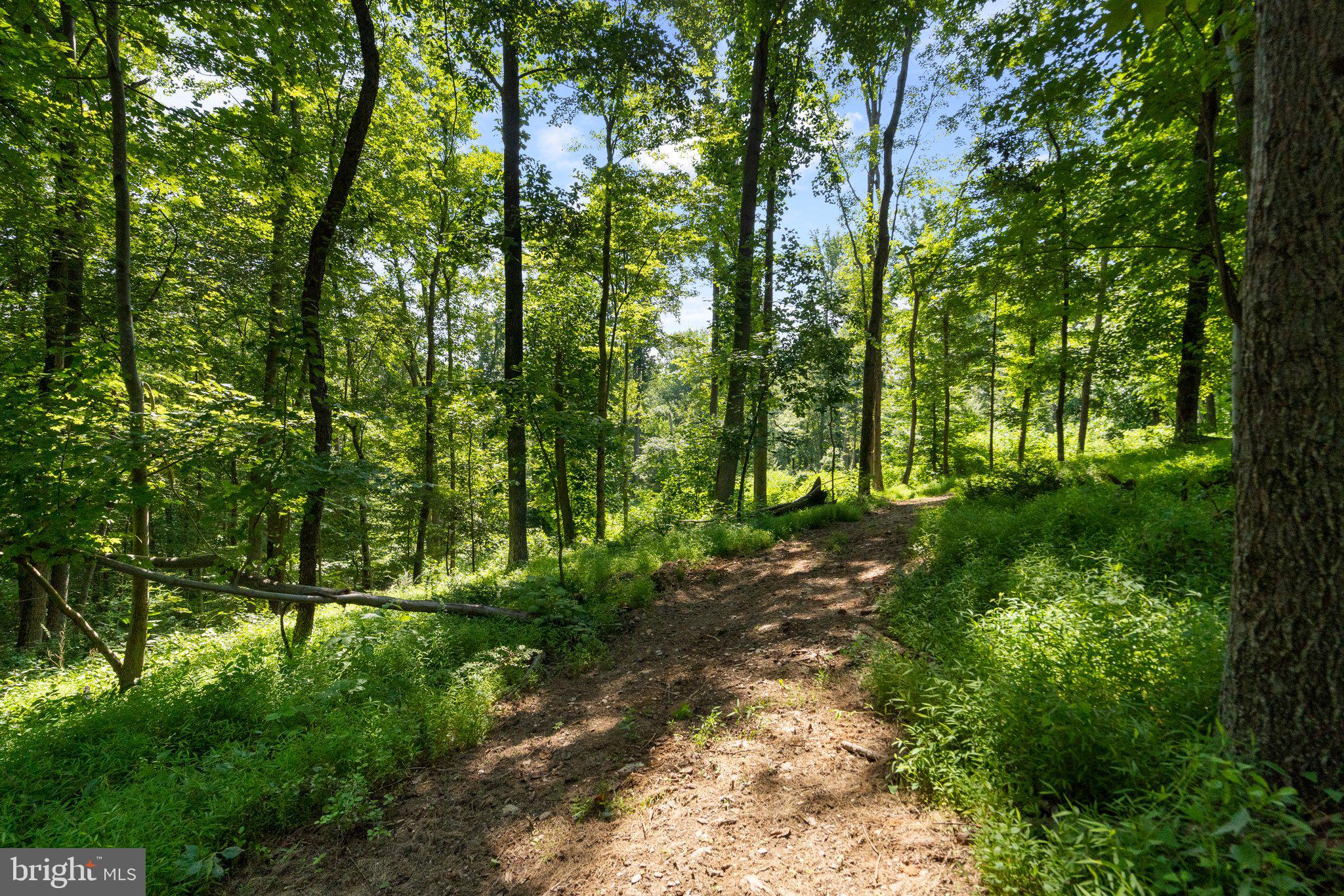 22015 Wildcat Road Germantown, MD 20876 - Photo 13 of 29