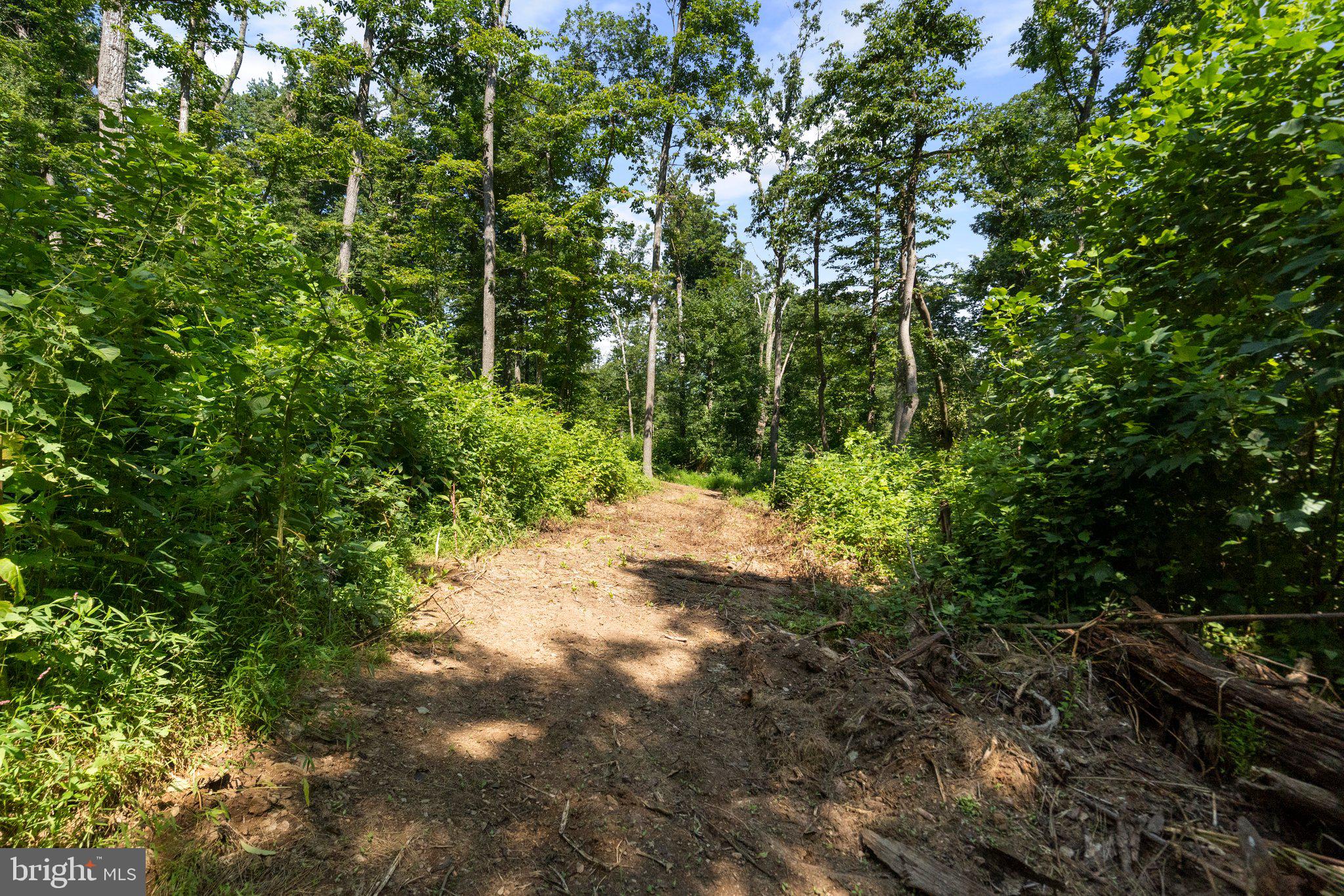 22015 Wildcat Road Germantown, MD 20876 - Photo 14 of 29