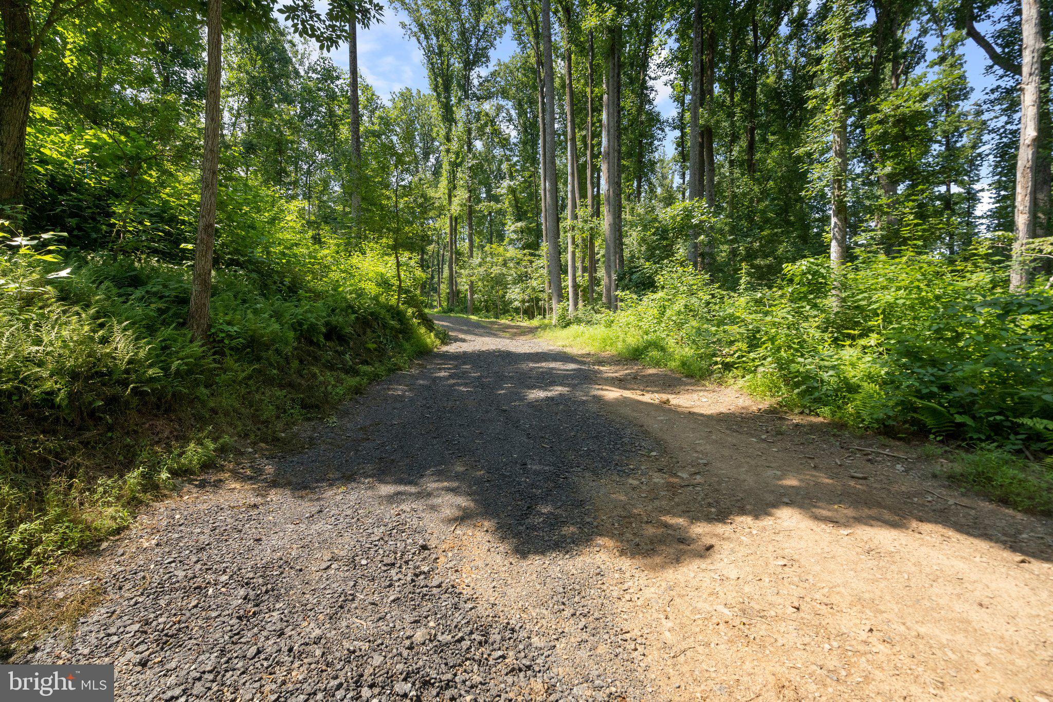 22015 Wildcat Road Germantown, MD 20876 - Photo 16 of 29