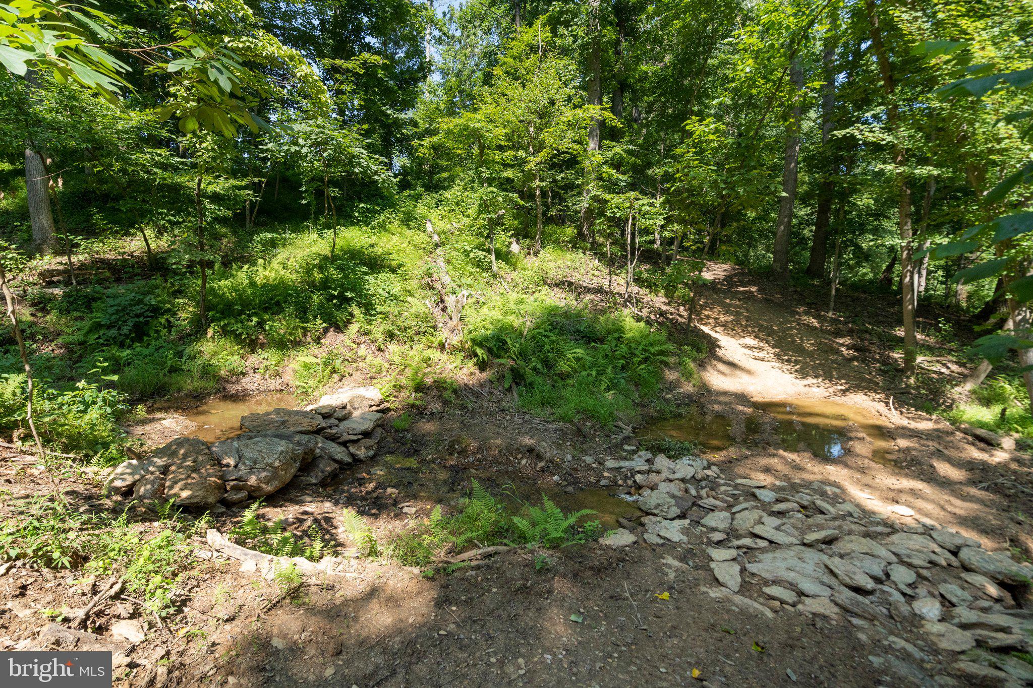 22015 Wildcat Road Germantown, MD 20876 - Photo 7 of 29