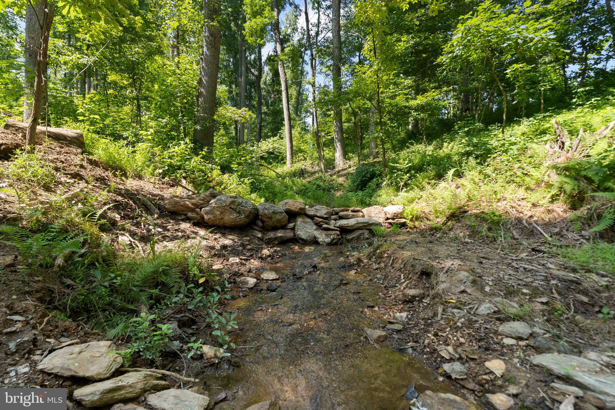 22015 Wildcat Road Germantown, MD 20876 - Photo 8 of 29