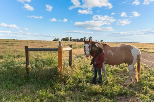 a view of a lake from a yard