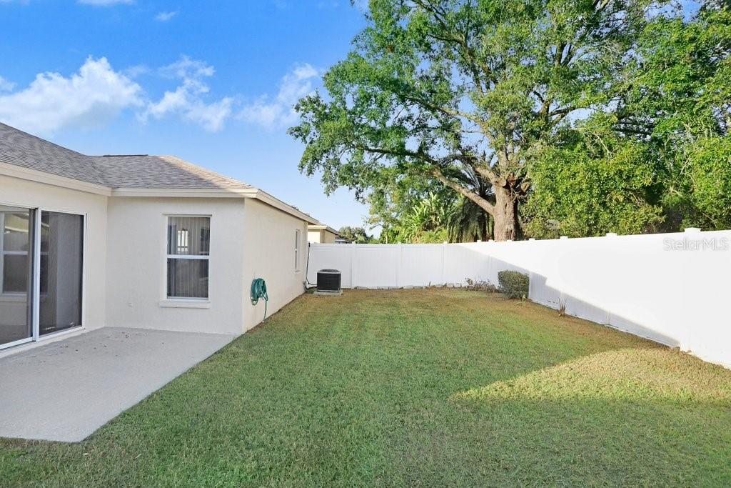 517 Royal Ridge Street Valrico, FL 33594 - Photo 21 of 30 a view of back yard of the house
