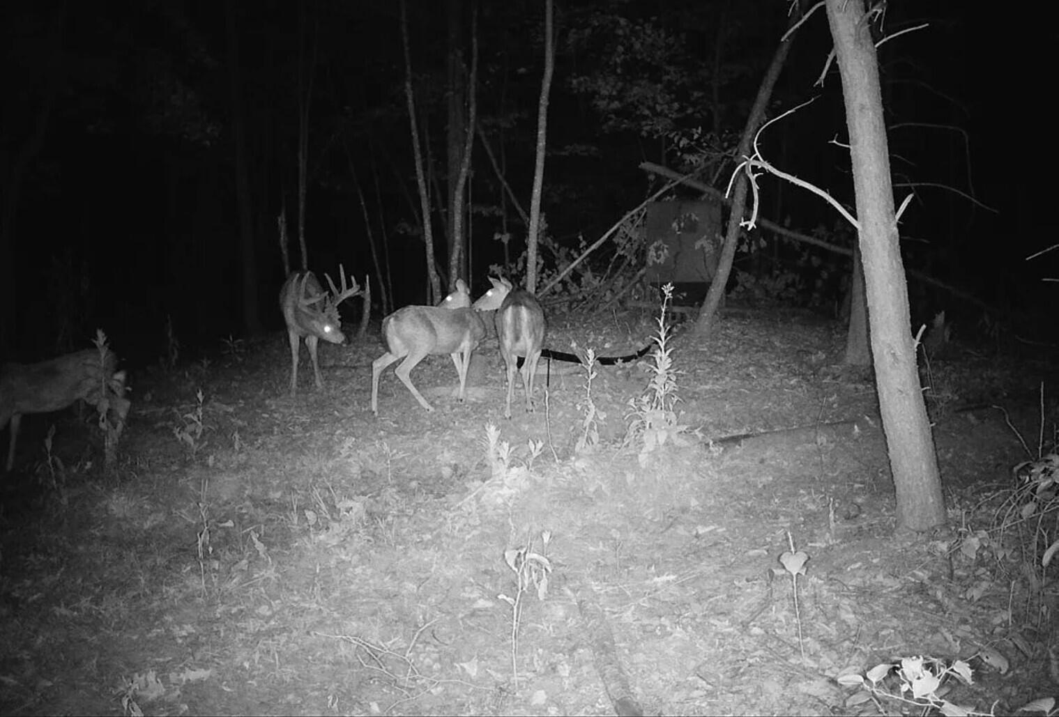 0 Hinkley Hollow Road Portsmouth, OH 45662 - Photo 33 of 48 Copy of 33