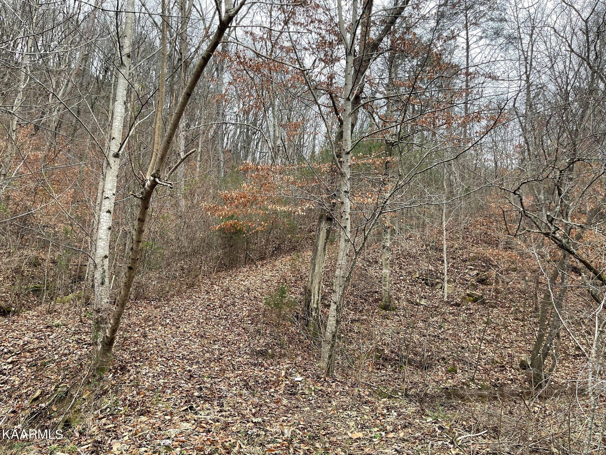 0 Joppa Mountain Road Rutledge, TN 37861 - Photo 1 of 4