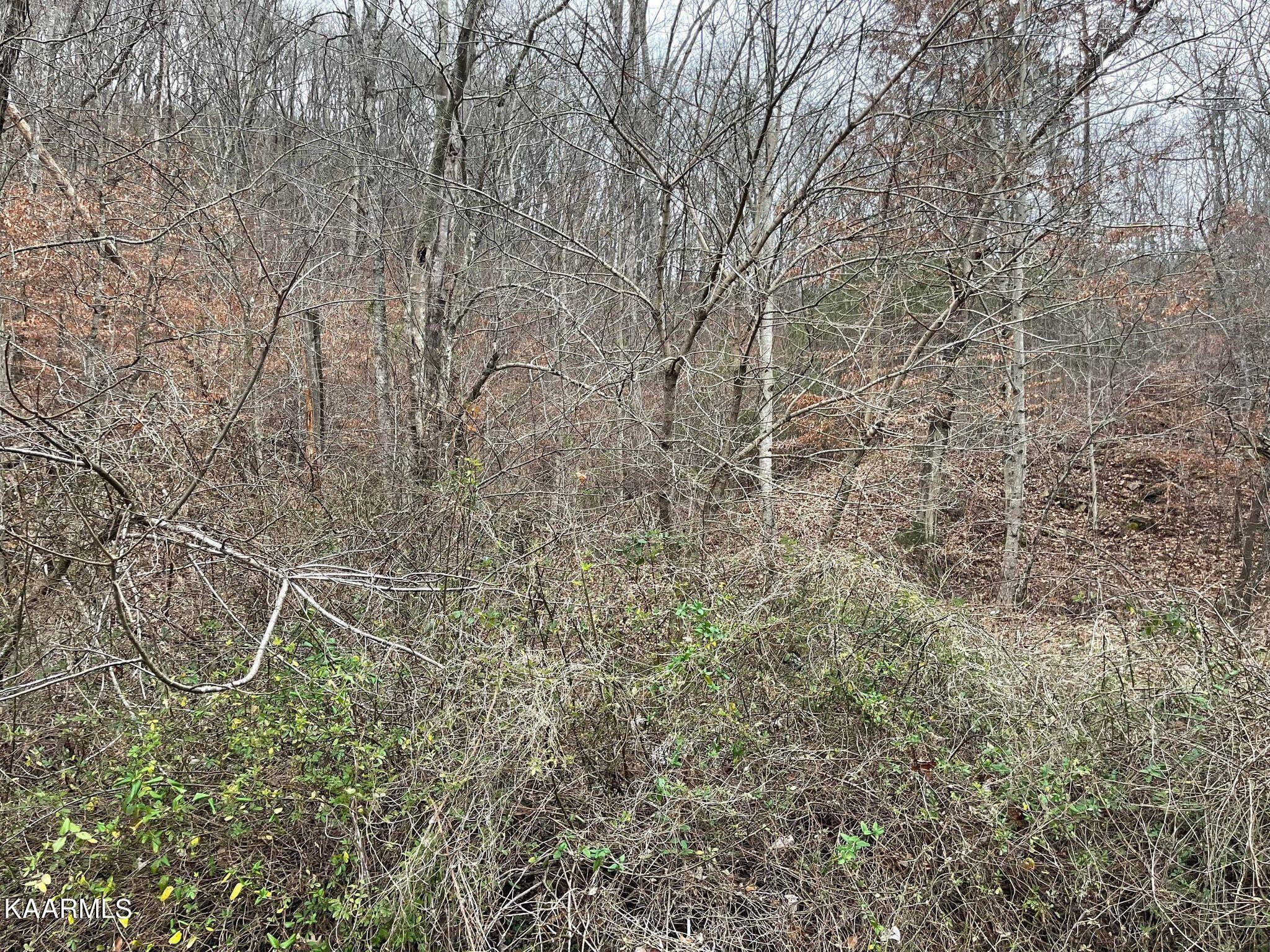 0 Joppa Mountain Road Rutledge, TN 37861 - Photo 2 of 4