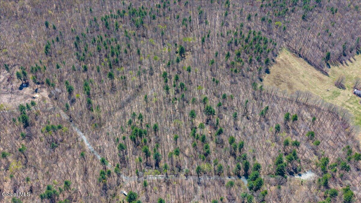 155 Thistle Hill Road Petersburgh, NY 12138 - Photo 13 of 23 04-155 Thistle Hill Rd-4
