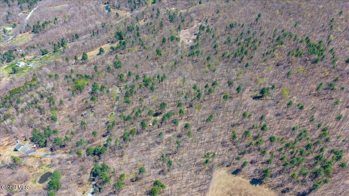 155 Thistle Hill Road Petersburgh, NY 12138 - Photo 15 of 23 06-155 Thistle Hill Rd-6