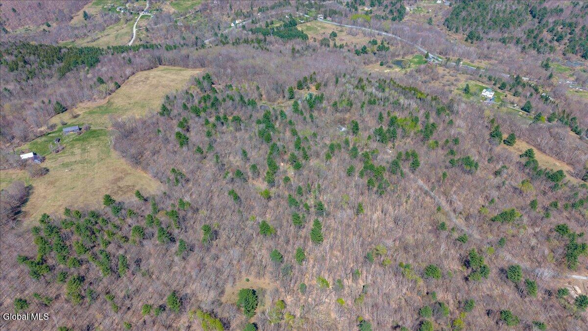 155 Thistle Hill Road Petersburgh, NY 12138 - Photo 18 of 23 09-155 Thistle Hill Rd-9
