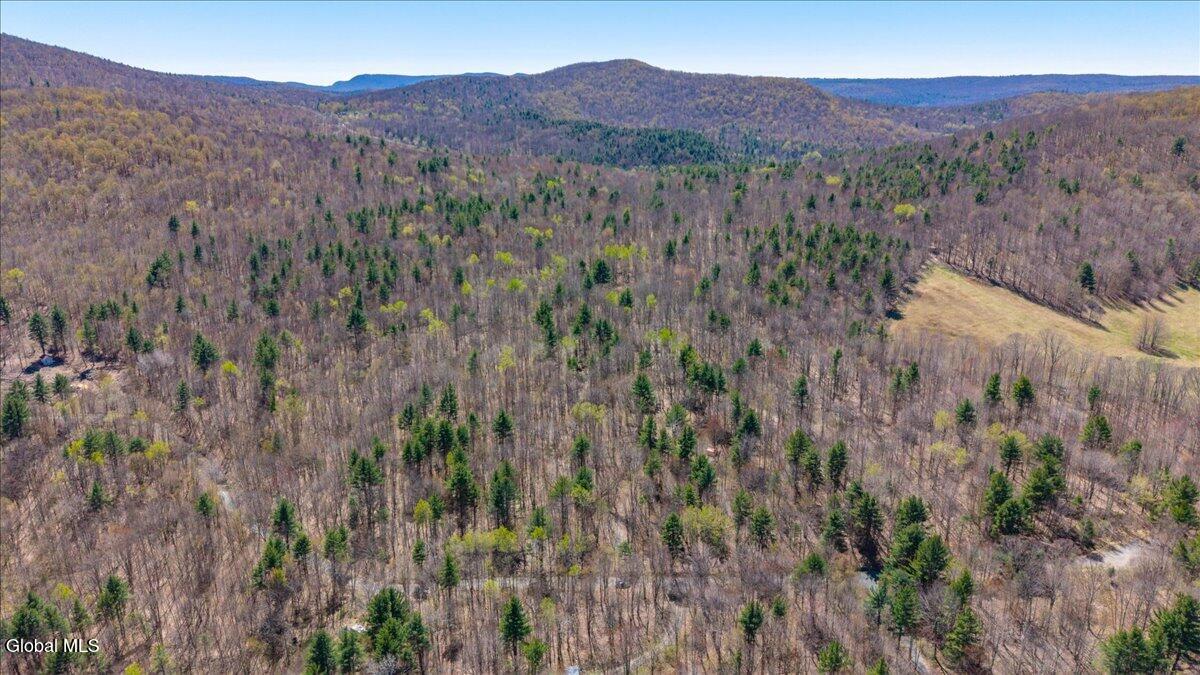 155 Thistle Hill Road Petersburgh, NY 12138 - Photo 19 of 23 11-155 Thistle Hill Rd-11