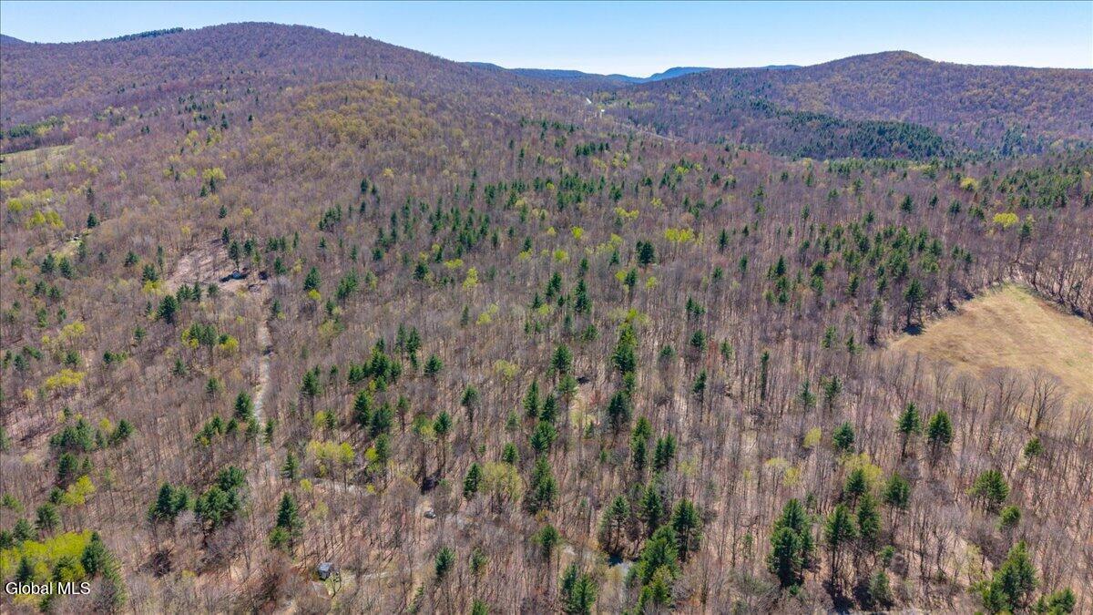 155 Thistle Hill Road Petersburgh, NY 12138 - Photo 20 of 23 12-155 Thistle Hill Rd-12