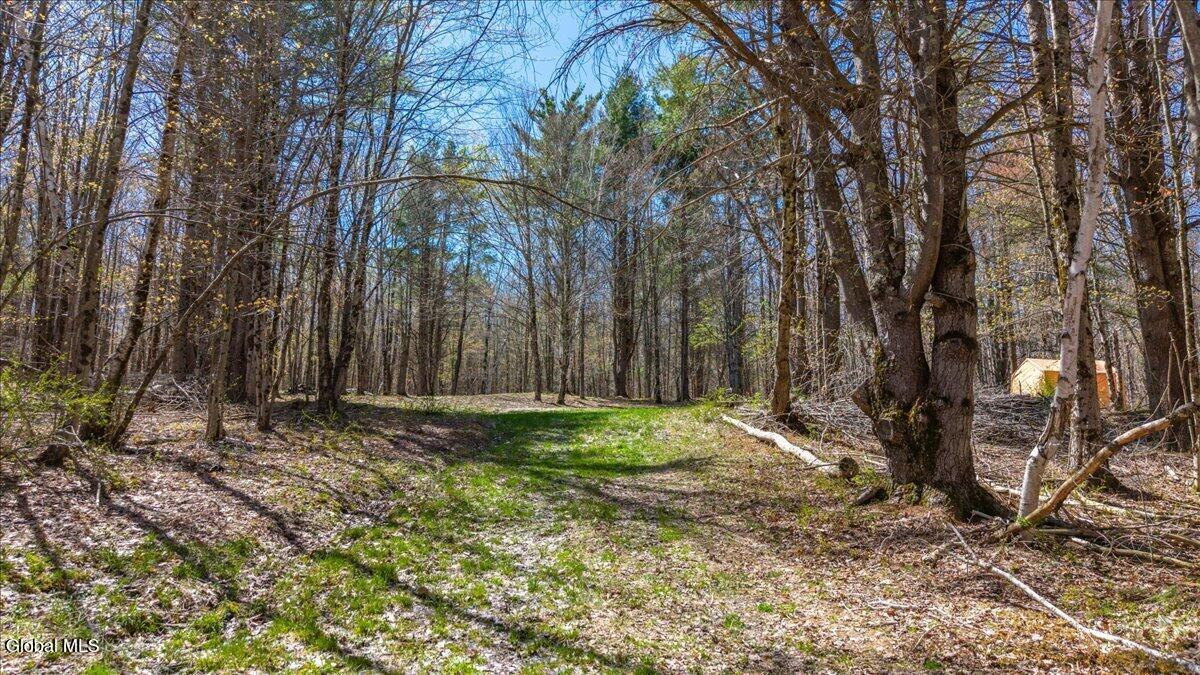 155 Thistle Hill Road Petersburgh, NY 12138 - Photo 2 of 23 20-155 Thistle Hill Rd-20