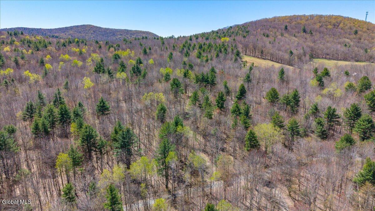 155 Thistle Hill Road Petersburgh, NY 12138 - Photo 22 of 23 14-155 Thistle Hill Rd-14
