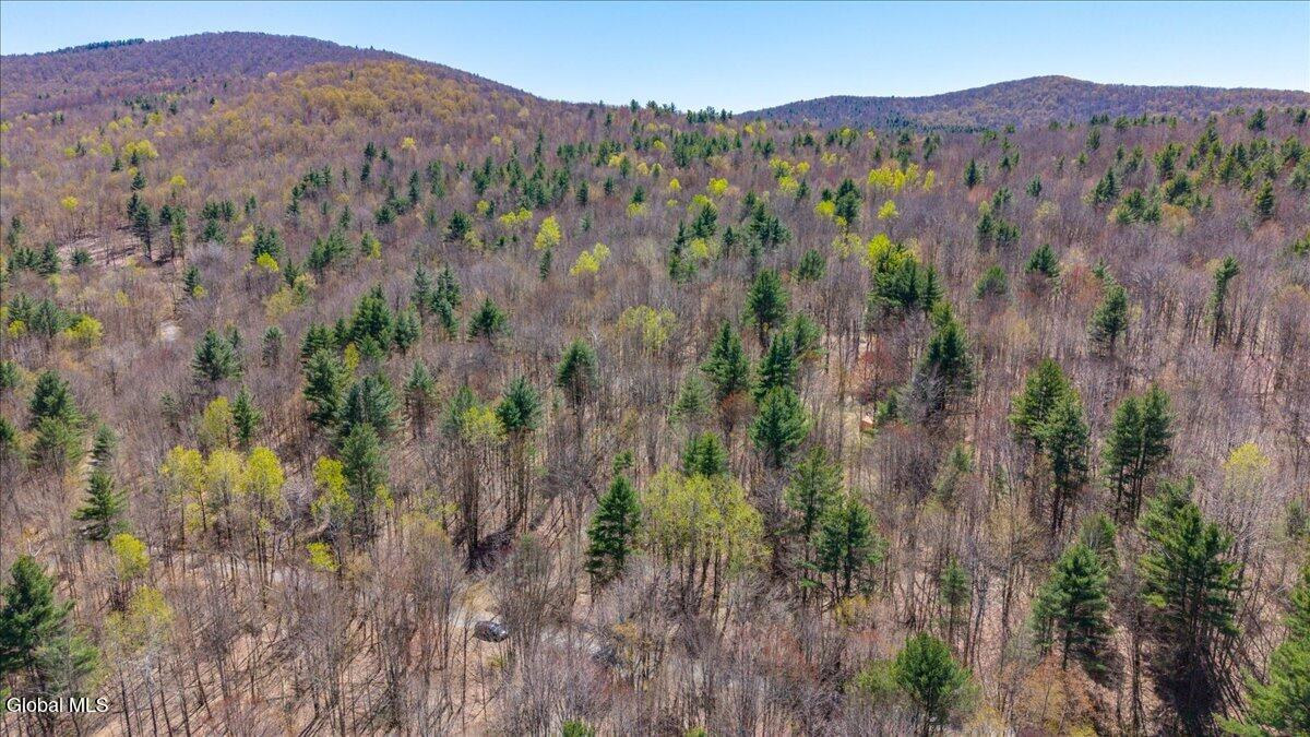 155 Thistle Hill Road Petersburgh, NY 12138 - Photo 23 of 23 15-155 Thistle Hill Rd-15