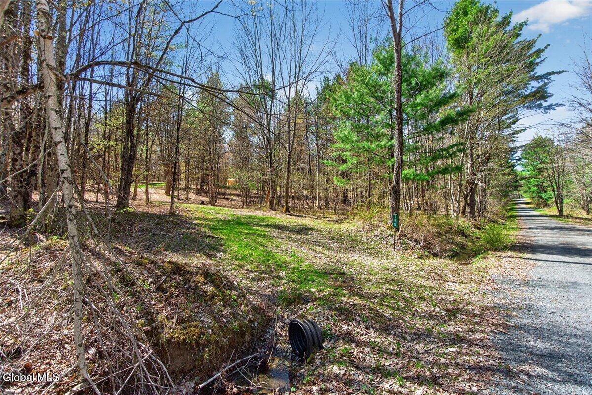 155 Thistle Hill Road Petersburgh, NY 12138 - Photo 3 of 23 22-155 Thistle Hill Rd-22