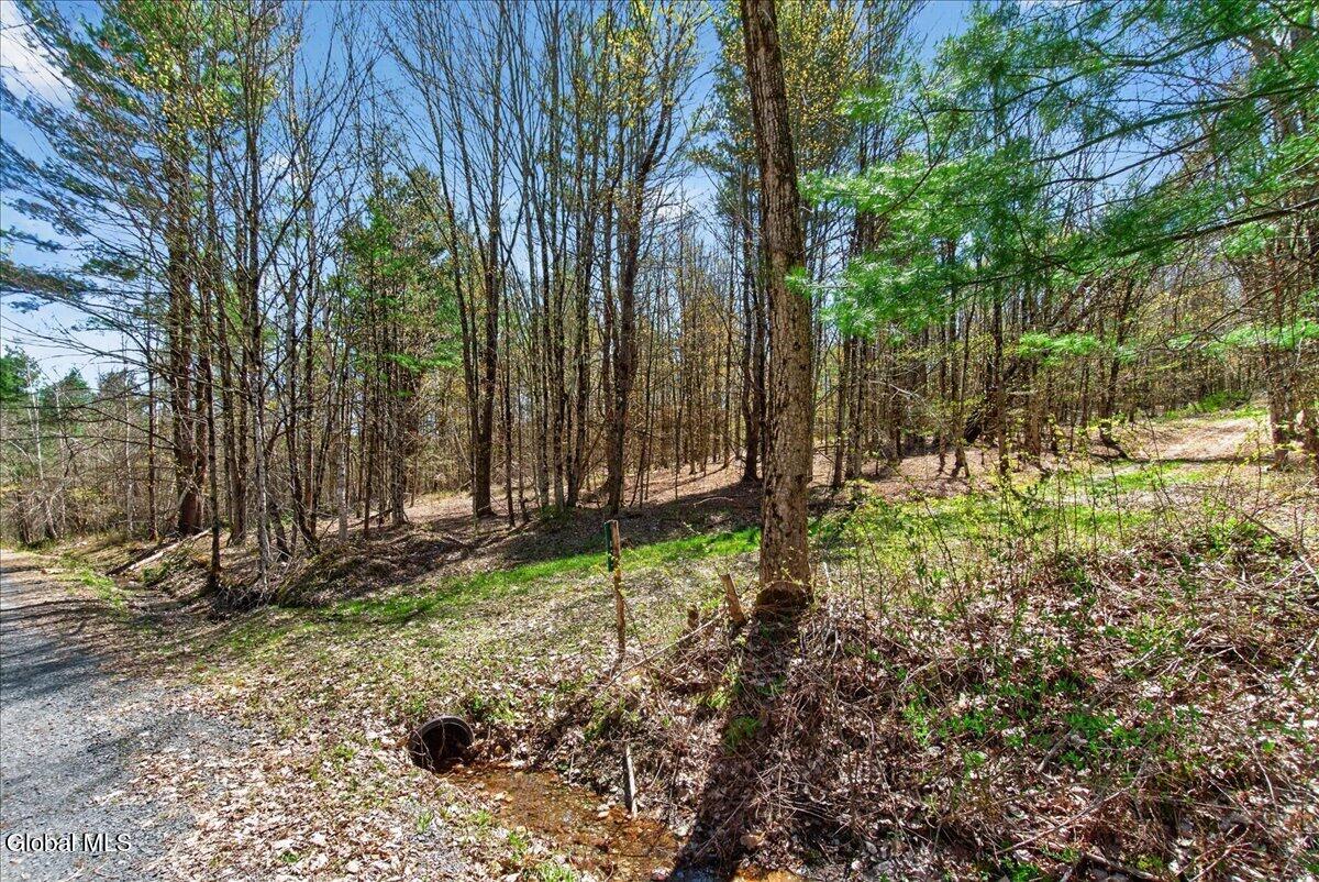 155 Thistle Hill Road Petersburgh, NY 12138 - Photo 4 of 23 23-155 Thistle Hill Rd-23