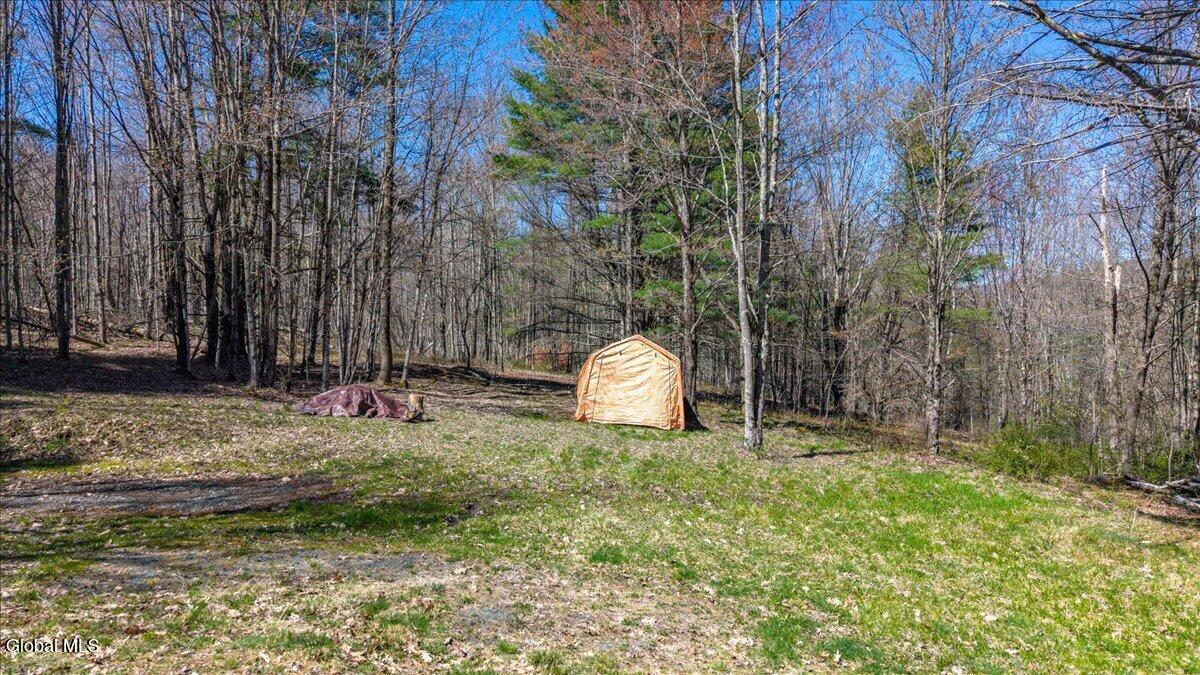 155 Thistle Hill Road Petersburgh, NY 12138 - Photo 5 of 23 17-155 Thistle Hill Rd-17