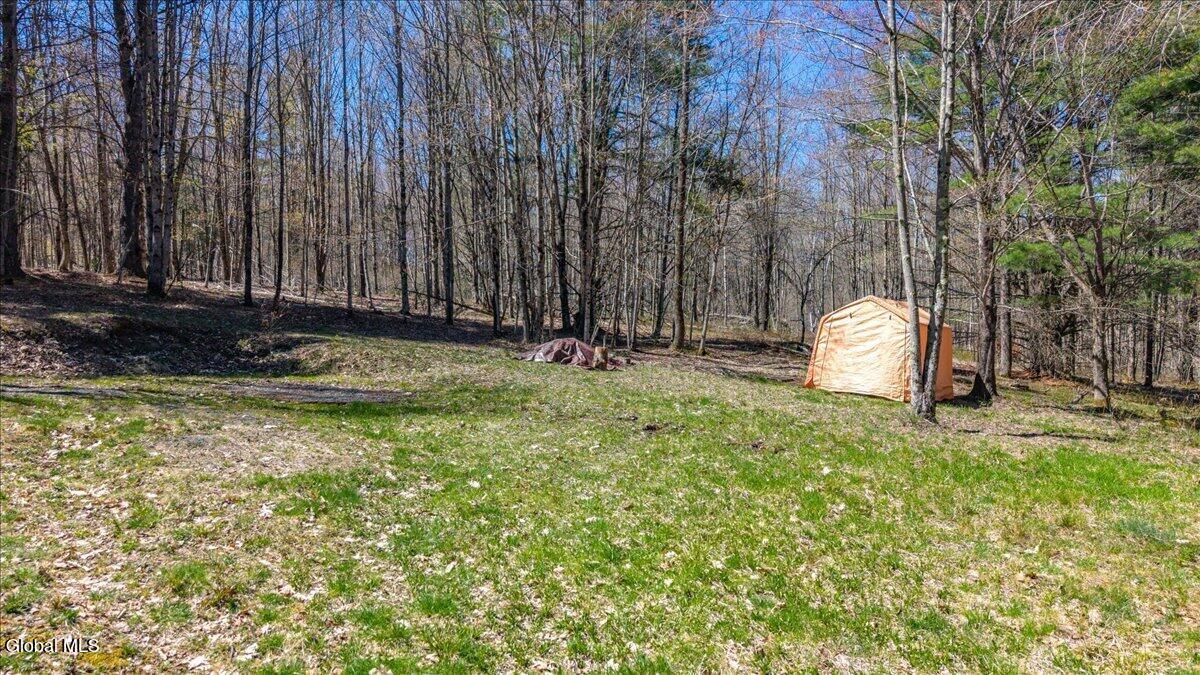 155 Thistle Hill Road Petersburgh, NY 12138 - Photo 6 of 23 16-155 Thistle Hill Rd-16