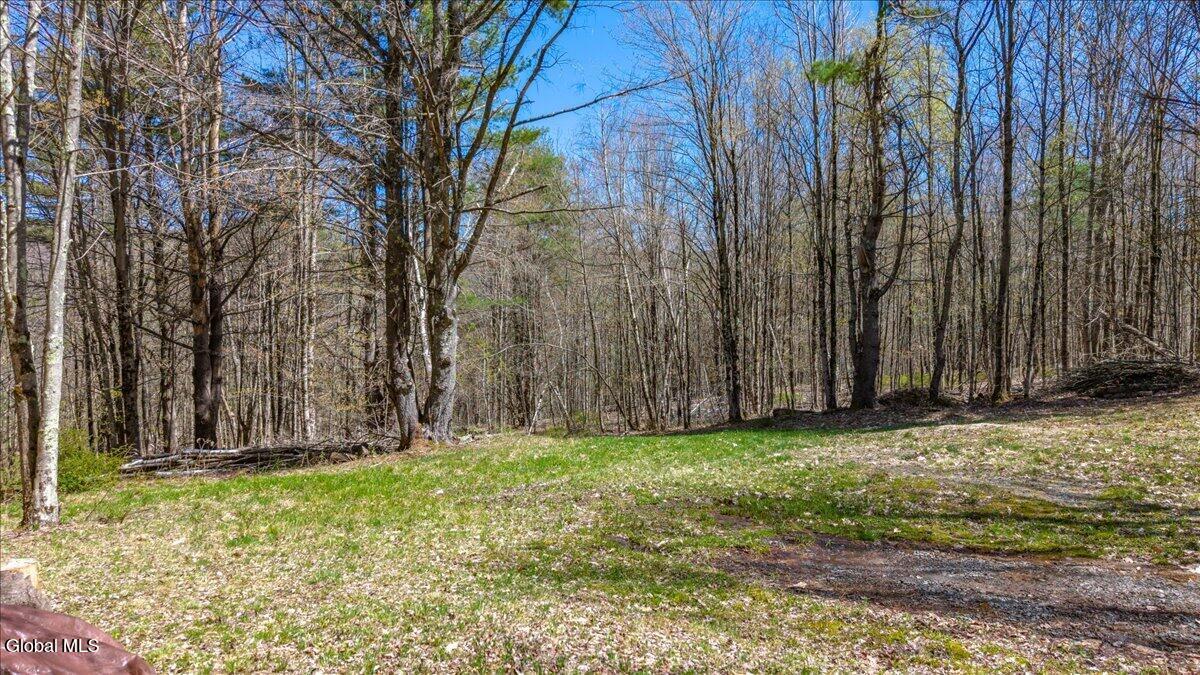155 Thistle Hill Road Petersburgh, NY 12138 - Photo 7 of 23 18-155 Thistle Hill Rd-18