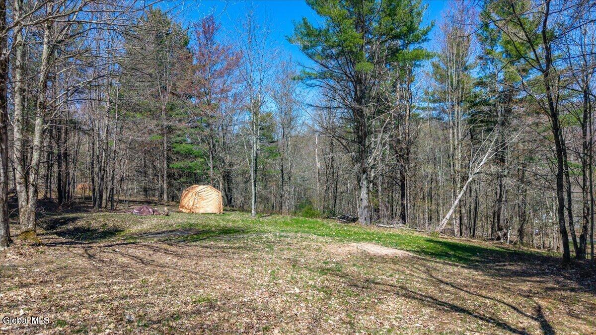 155 Thistle Hill Road Petersburgh, NY 12138 - Photo 8 of 23 19-155 Thistle Hill Rd-19