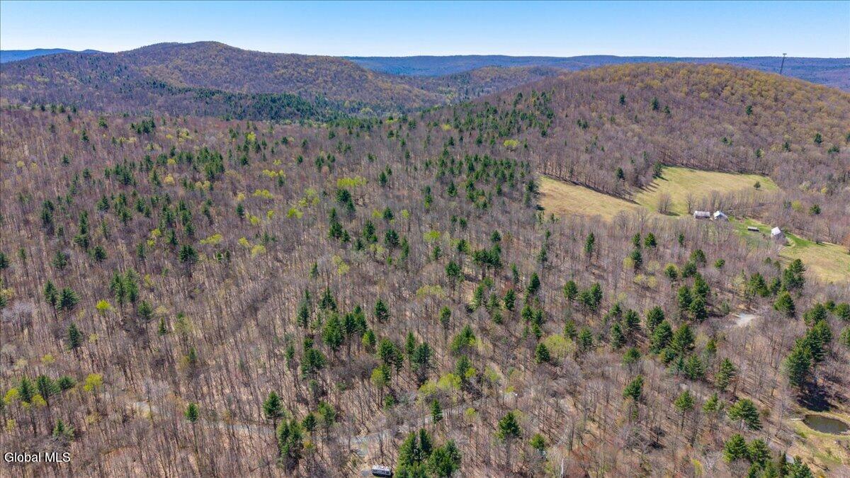 155 Thistle Hill Road Petersburgh, NY 12138 - Photo 9 of 23 10-155 Thistle Hill Rd-10