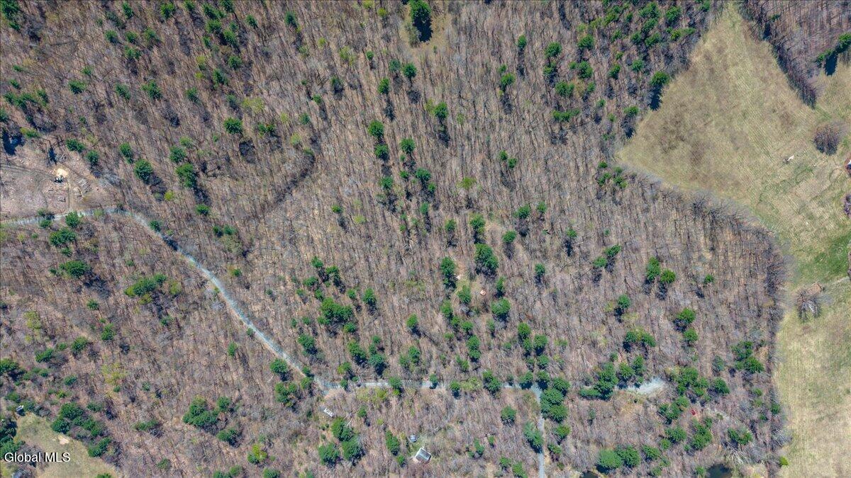 155 Thistle Hill Road Petersburgh, NY 12138 - Photo 10 of 23 01-155 Thistle Hill Rd-1