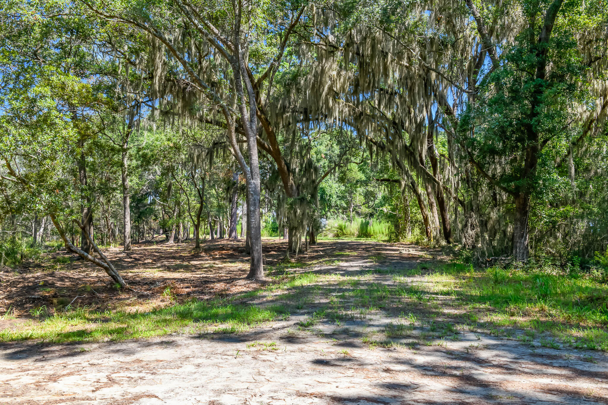 6258 Josie Ridge Road Wadmalaw Island, SC 29487 - Photo 8 of 43 HFL_6258 JOSIE RIDGE-2