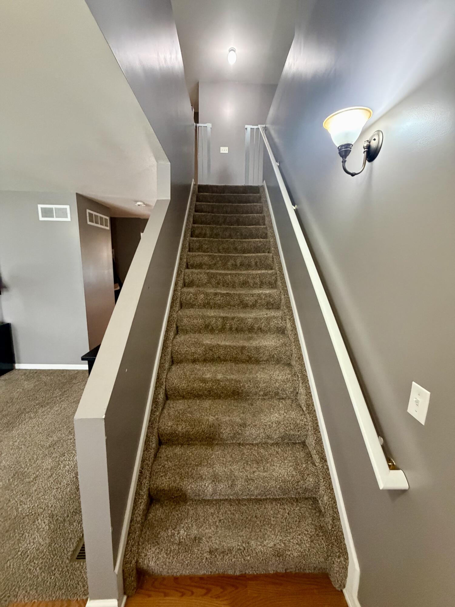 1037 Prairie Lane Milan, MI 48160 - Photo 14 of 43 IMG_7245